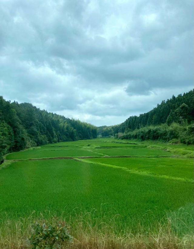武夷山轮式洗砂机