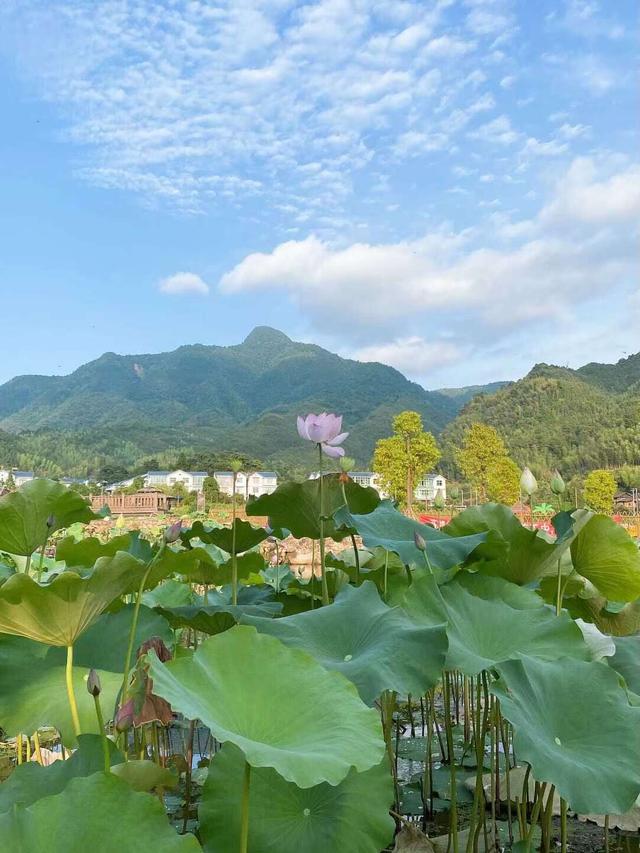 福建轮式洗砂机厂家