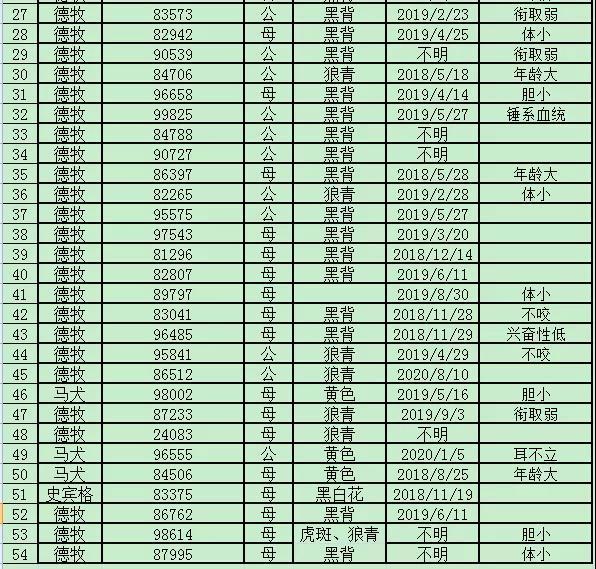 锤系血统