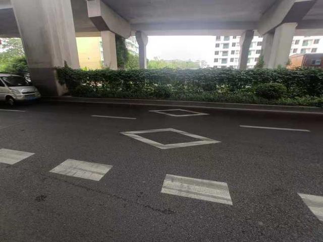网格线