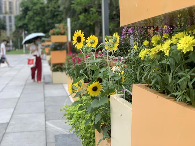 花城广场