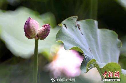 如果你的生活已处于低谷，那就大胆走，因为无论你怎样走都是在向上