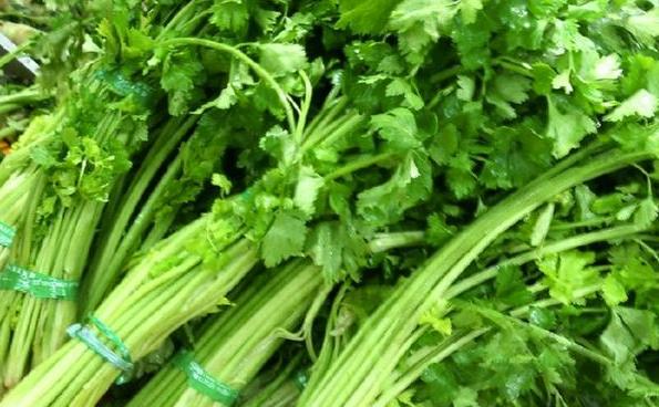 吃芹菜不吃叶？专家：可惜可惜