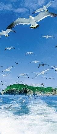 2018山东工程设备展