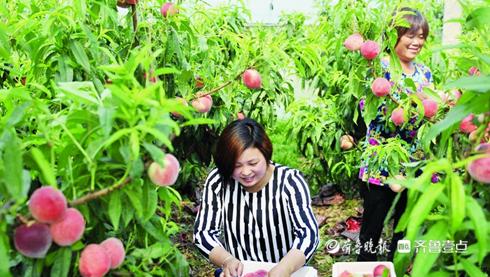 阳光工程示范展