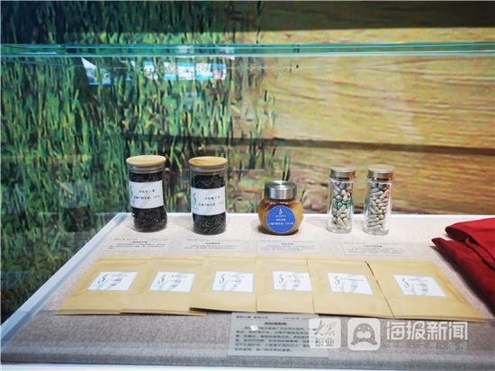 山东记录小康工程主题展