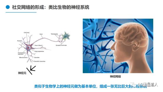 微信是什么意思啊