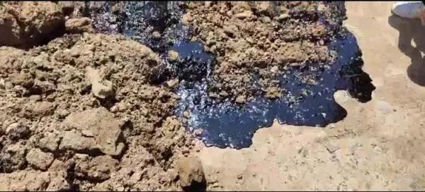 陕西挖斗洗砂机厂家的简单介绍