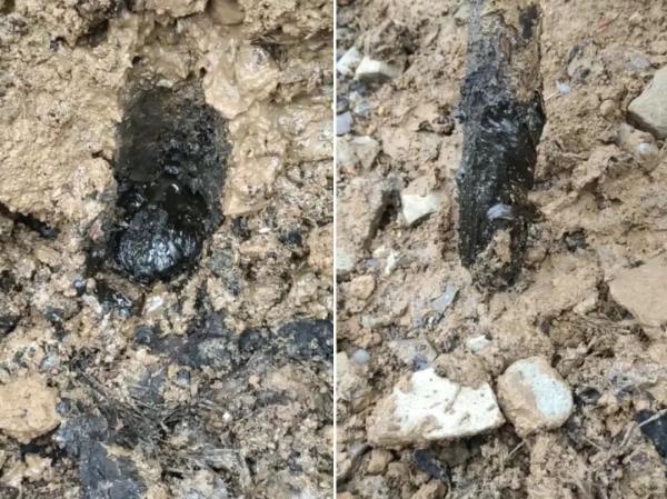陕西挖斗洗砂机厂家