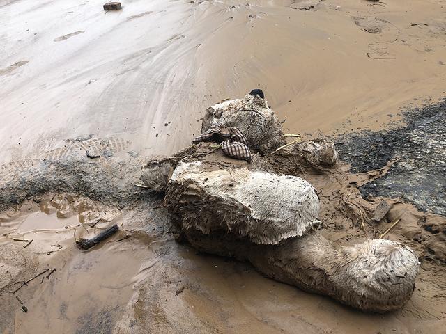 渑池河道清淤泥浆过滤机
