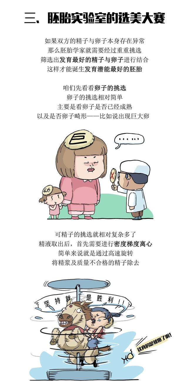 试管婴儿从哪里来？医院推出科普漫画“生殖科的故事”