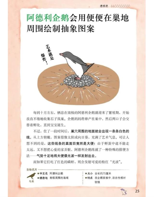 “我”会和小毕成为朋友吗？| 童书新品