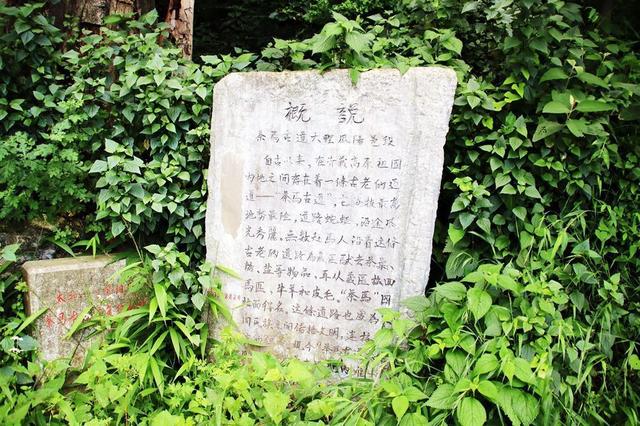 大理鳳陽邑：茶馬古道上的世外桃源