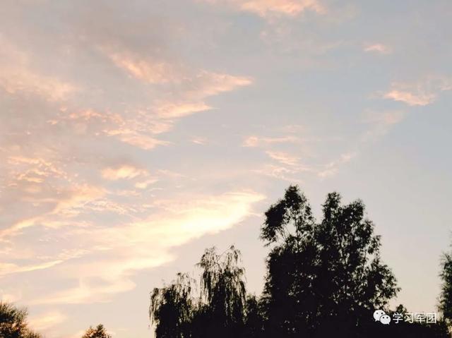 晚间悦读 | 快乐生活的8条法则