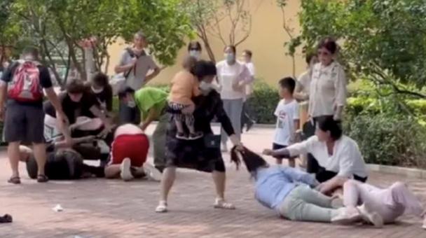 效仿游客打架的是黑猩猩？北京野生动物园：它们只是闹着玩