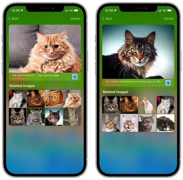 iOS 15搜索體驗大改進：涵蓋網圖、相冊、鎖屏訪問等更多內容