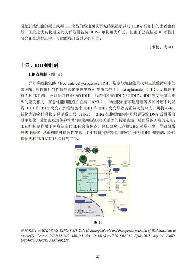 速覽 | 2020年度中國抗腫瘤新藥臨床研究評述