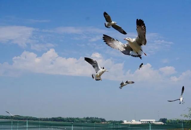 追光之路丨 天平杯 隨手拍 大賽作品展播 中國熱點