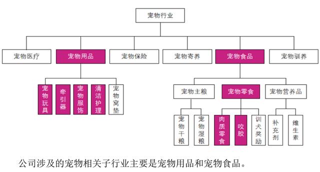 宠物用品公司