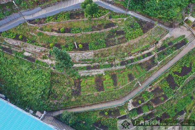 桂林压滤机泵种类的简单介绍
