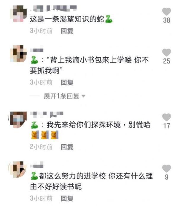 一小学宿舍枕头下惊现大蛇，网友的评论绝了