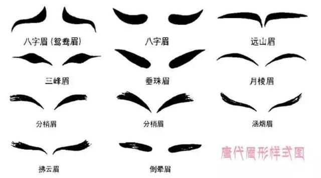 百万年前的社交必需品——眉毛进化史  第30张