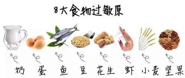 食物过敏？怎样预防？