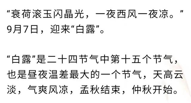 「节气」9月7日，清风至，白露生