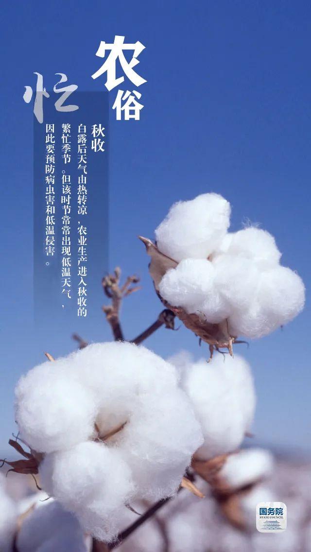 今日白露 | “露凝而白也”，仲秋时节开始了