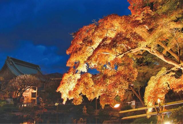 日本47個都道府縣 一縣一個最佳賞楓地點 Kks資訊網