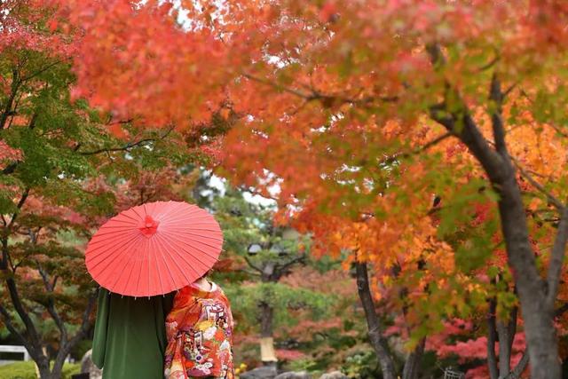 日本47個都道府縣 一縣一個最佳賞楓地點 Kks資訊網