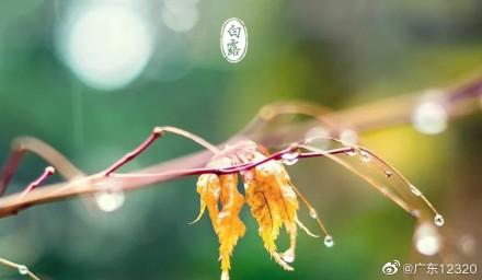 白露起居·早睡早起