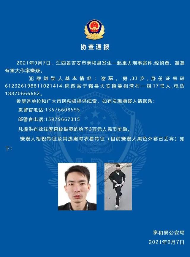 “行李箱藏尸”案犯罪嫌疑人谢某被批捕！涉嫌故意杀人罪