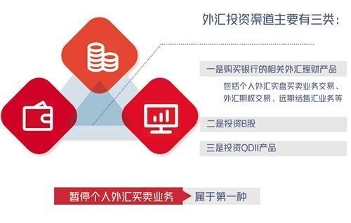买 外汇 外汇收益 foreign exchange gains