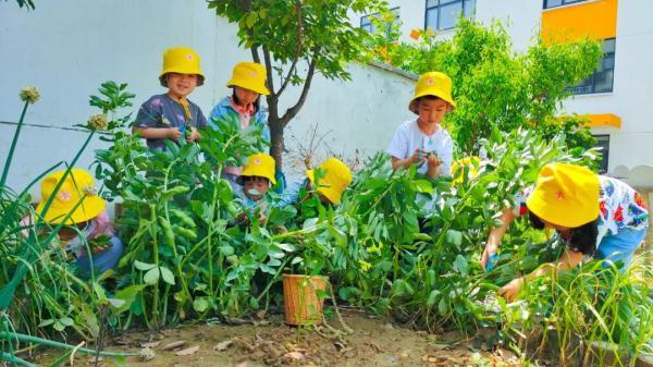 深度教研｜“动态回应”区域游戏中的幼儿