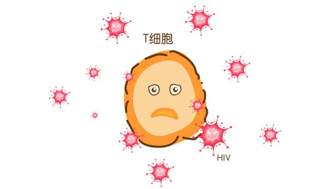 hiv患者可以移民英国吗艾滋病病毒疫苗是否遥遥无期男人得艾滋6个征兆