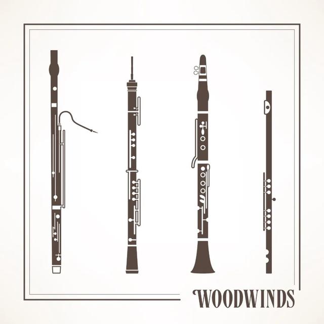 西洋乐器有哪些种类（学什么西洋乐器简单好学）