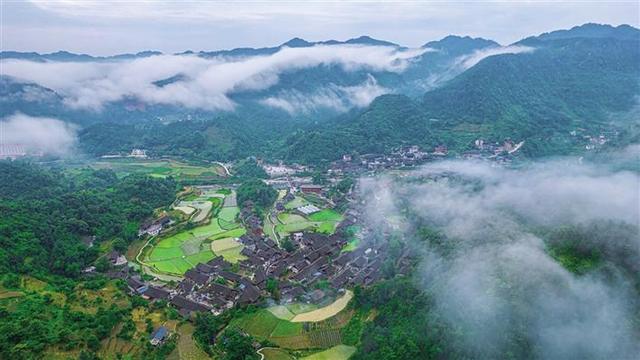 白云山现脆蛇蜥