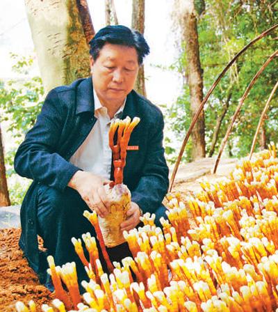 淄博木材破碎机厂家的简单介绍