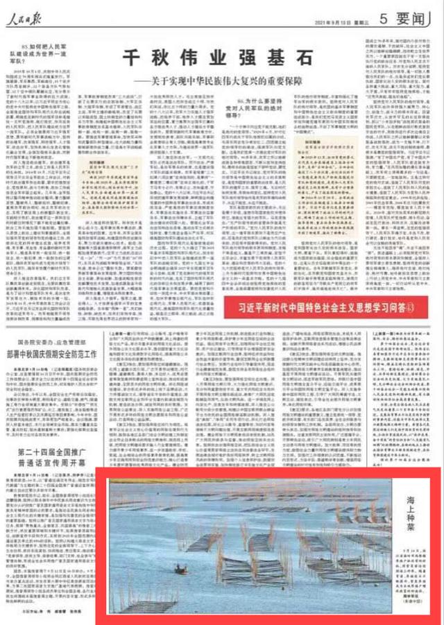 人民日报 | 海上种菜？这个可以有，就是紫菜，来自温岭