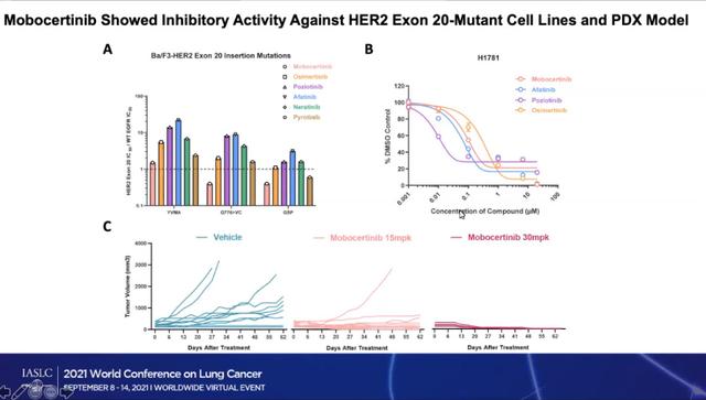 WCLC 2021 | 發掘潛力，Mobocertinib治療HER2外顯子20插入突變肺腺癌