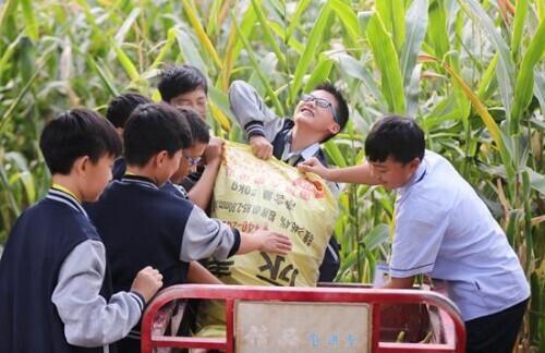 焦作板锤制砂机参数