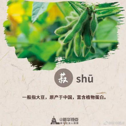 秋分节气