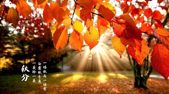 如何保持人体的“阴阳平衡”？从“秋分”开始做好这几件事→