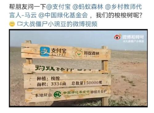 “蚂蚁森林”被疑造假背后：在阿拉善，下雨就像下黄金一样