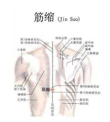 每天“揉地筋”、“跪走”，养足你的肝气，自然百毒难侵