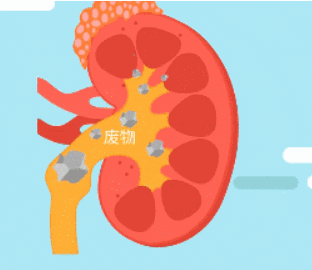 精粉过滤机