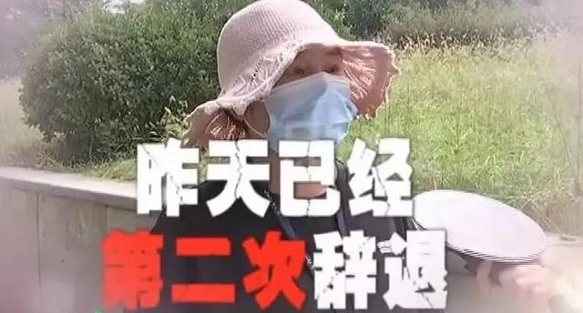 女子怀孕七个月，被公司称没产假劝退？网友热议