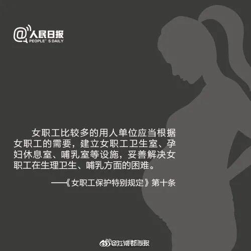 女子怀孕七个月，被公司称没产假劝退？网友热议