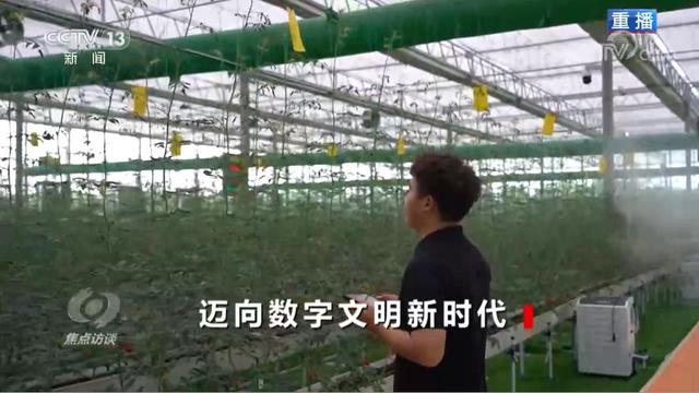 焦点访谈丨人工智能、云计算……聚焦互联网最新发展趋势 乌镇见证中国数字经济蓬勃发展-第7张图片-9158手机教程网